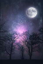 Trees And Full Moon At Night