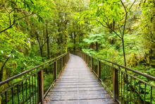 New Zealand, Oceania, South Island, Southland, Fiordland National Park, Boardwalk The Chasm Walk