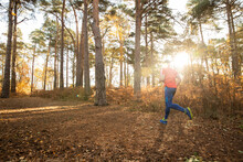 Man Jogging In Autumn Forest At Sunrise