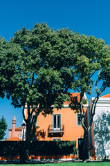 Poster - Vertical shot of two tall trees in front of an orange house on a sunny day in Cascais, Portugal