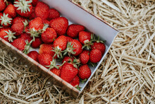 Ripe Strawberries In Basket On Field