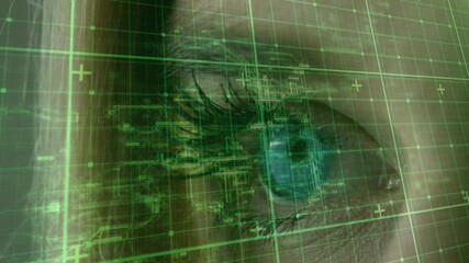 Poster - Animation of data processing over eye of caucasian woman