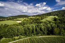 Austria, Lower Austria, Aerial View Of Green Forested Hills And Vineyards