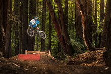 Man Performing Stunt With Mountain Bike In Forest, Santa Cruz, California, USA