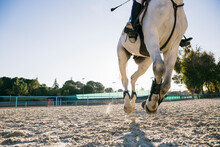 Low Section Of Girl Riding White Horse During Training At Ranch On Sunny Day