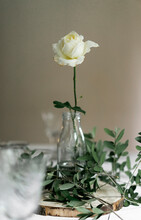 Dining Table Decorated With White Blooming Rose And Olive Tree Branches