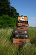 © Petra Stockhausen/Westend61 - Stack of old leather suitcases with little dog on a meadow