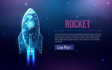 Wall Mural - rocket launch, wireframe polygonal style. internet technology network, business startup concept with