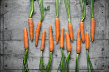 Row Of Fresh Carrots Lying On Gray Wooden Surface