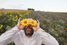 Playful Man Covering His Eyes With Sunflowers In A Field