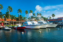 Carribbean, Aruba, Oranjestad, Yacht Harbour In Downtown
