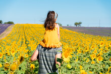 Father Carrying Daughter On Shoulders In Sunflower Field During Summer