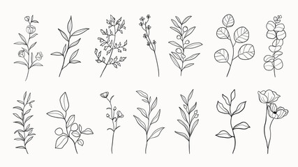 Wall Mural - botanical arts. hand drawn continuous line drawing of abstract flower, floral, ginkgo, rose, tulip, 
