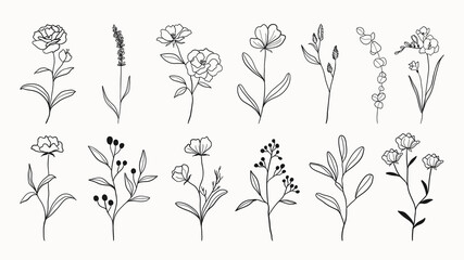 Wall Mural - botanical arts. hand drawn continuous line drawing of abstract flower, floral, ginkgo, rose, tulip, 