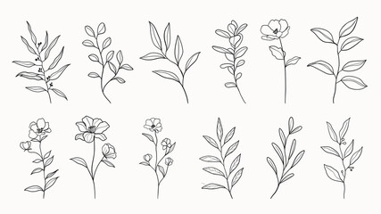 Wall Mural - botanical arts. hand drawn continuous line drawing of abstract flower, floral, ginkgo, rose, tulip, 