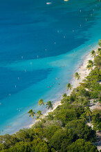 Aerial View Of Palm Trees Growing At Magens Bay Beach, St. Thomas, US Virgin Islands