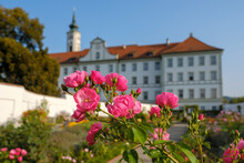 Germany, Bavaria, Schaeftlarn Abbey, Praelatengarten, Blooming Roses