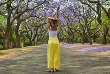 Woman In The Middle Of A Street Full Of Jacaranda Trees In Bloom, Pretoria, South Africa