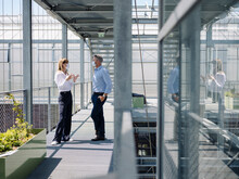 Colleagues Wearing Masks Discussing While Standing On Footbridge In Greenhouse
