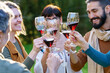 © Javier Sanchez Mingorance/Westend61 - Group of friends toasting with red wine on their getaway in the countryside
