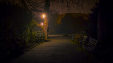 Germany, Baden-Wuerttemberg, Freiburg, Park At Night