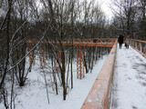 Fototapeta Pomosty - Drewniany pomost w parku