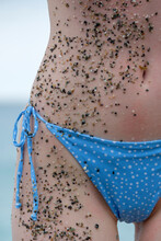 Small Beach Stones And Sand On Woman Body And Bikini At Beach