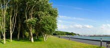 Denmark, Jutland, Sonderborg, Trees In A Park At The Coast