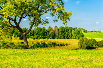 Canvas Print - Nordende des Riegsees bei Murnau am Staffelsee