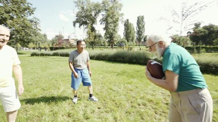 Wall Mural - senior men having fun at the park. Concept about seniority and lifestyle