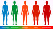 Women body mass index vector poster. Adult woman with different bodyweight sizes from underweight to overweight.