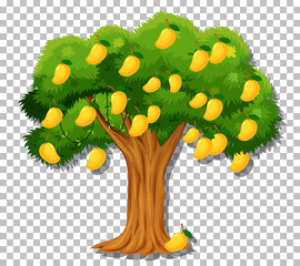 Wall Mural - Mango tree on transparent background