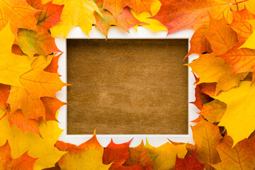 Wall Mural - Fresh beautiful colorful maple leaves around white frame. Closeup. Autumn concept. Empty place for inspirational text, quote or sayings on dark brown wooden table background. Top down view.