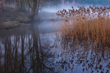 Wall Mural - morning fog over the river red dawn