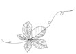 background with leaves minimal line lineart leaf