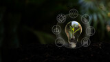 Fototapeta Mapy - Saving energy and environment.  Tree growth in light bulb for saving Ecology energy nature and  reduce global warming for improve society, community and environment in future icon. Environment Concept