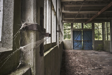 Sticker - Old abandoned creepy building with walls covered with a spider web and a blue wooden door