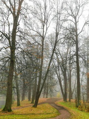 Wall Mural - autumn in the park