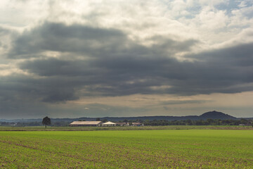 Wall Mural - Freshly sown field with barns and trees on the horizon under a cloudy sky.