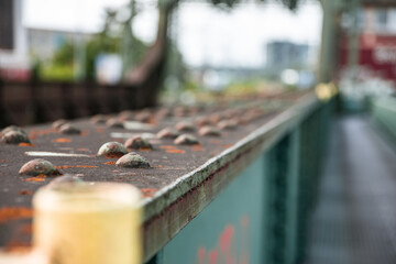 Poster - Tracks of an old railroad station