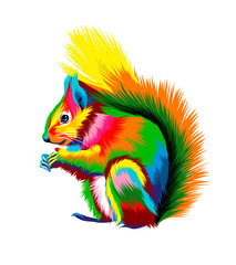 Wall Mural - Eurasian red squirrel from multicolored paints. Splash of watercolor, colored drawing, realistic. Vector illustration of paints