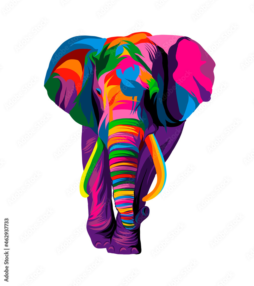 Elephant from multicolored paints. Splash of watercolor, colored drawing,  realistic. Vector illustration of paints Stock Vector | Adobe Stock, image size:889x1000