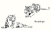 Vector Drawing Of Two Silhouettes Of A Chinese Tiger In 2022, A Simple Hand-drawn Asian Element For A Poster, Postcard, Brochure, Banner, Calendar, Vector Illustration Isolated On A Light Background