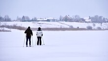 Winter Sport In Finland - Cross-country Skiing. Woman Skiing In Winter Forest Covered With Snow. Active People Outdoors. Scenic Peaceful Finnish Landscape.