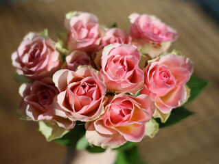 Wall Mural - A bouquet of pink roses photographed from above.