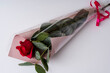 A red rose flower wrapped in a beautiful gift box on a white background