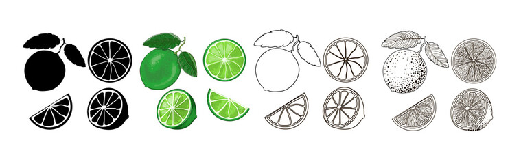 Wall Mural - Four sets of limes - black silhouette, cartoon, doodle and outline style. One lime on a branch with two leaves, half and two slices isolated on a white background. Vector