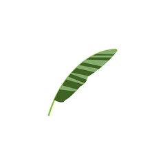 Poster - Banana leaf icon