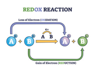 Wall Mural - Redox reaction as atoms chemical oxidation states change outline diagram. Labeled educational explanation scheme with electron gain and loss in oxidation or reduction process vector illustration.