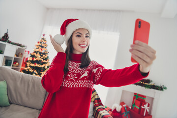 Sticker - Photo of charming cute lady hold telephone make selfie social media wear hat sweater in decorated x-mas home indoors